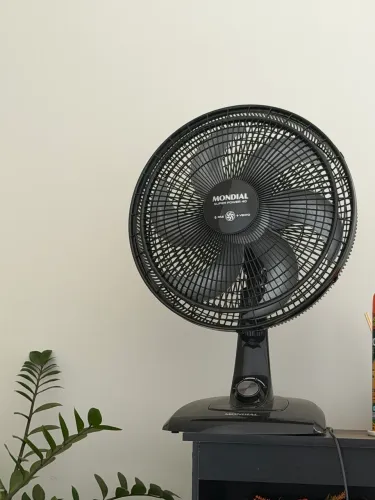 Ventilador mondial