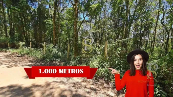 Terrenos À Venda - 1.000 m² - Mato Dentro - Mairiporã/SP.