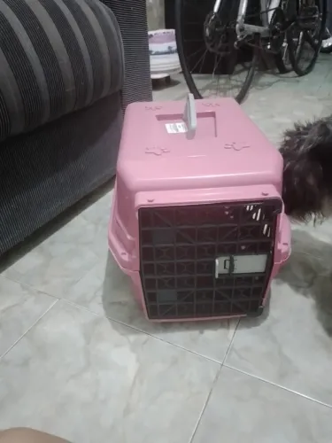 Caixa para cachorro 