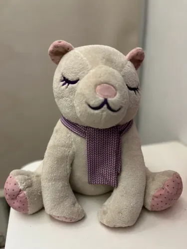 Urso de pelúcia da Imaginarium