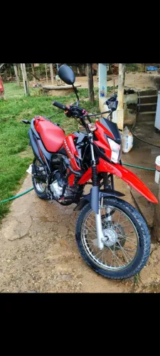 Bros 2024 nova