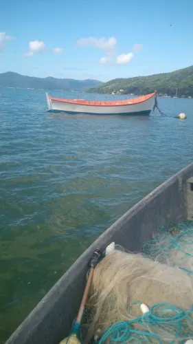 BOTE