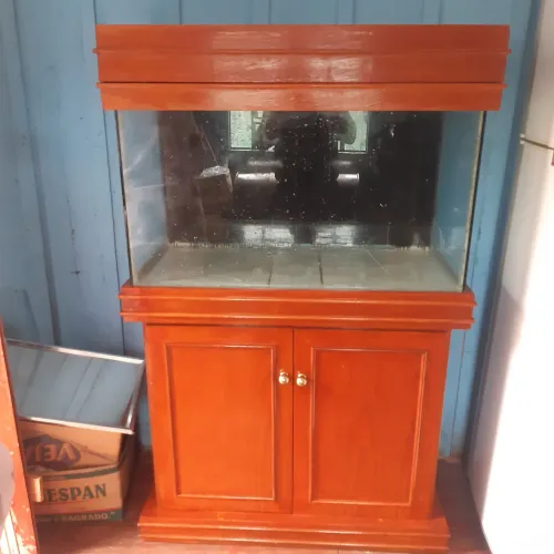 Aquario