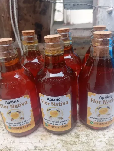 Mel de abelha  diretamente  do Nordeste 30,00 300 ml