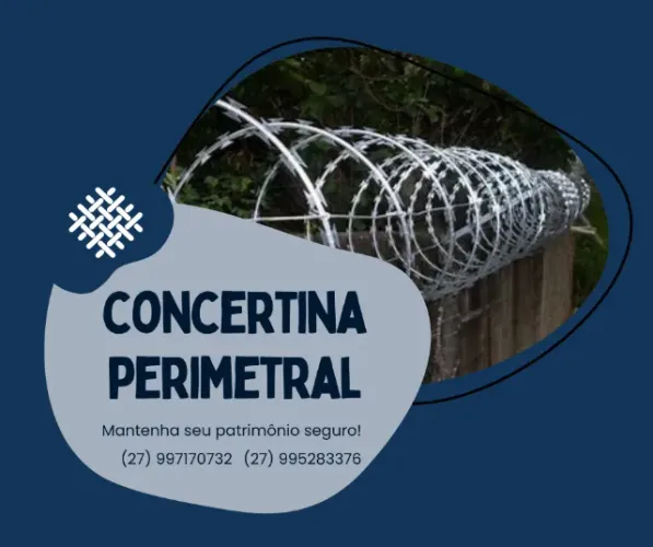 Concertina perimetral clipada