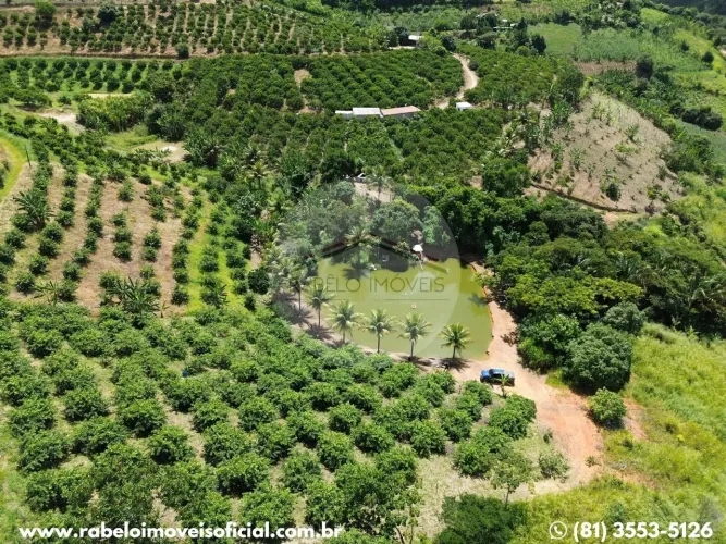 Oportunidade em Chã Grande. Propriedade com 8,1 hecateres.
