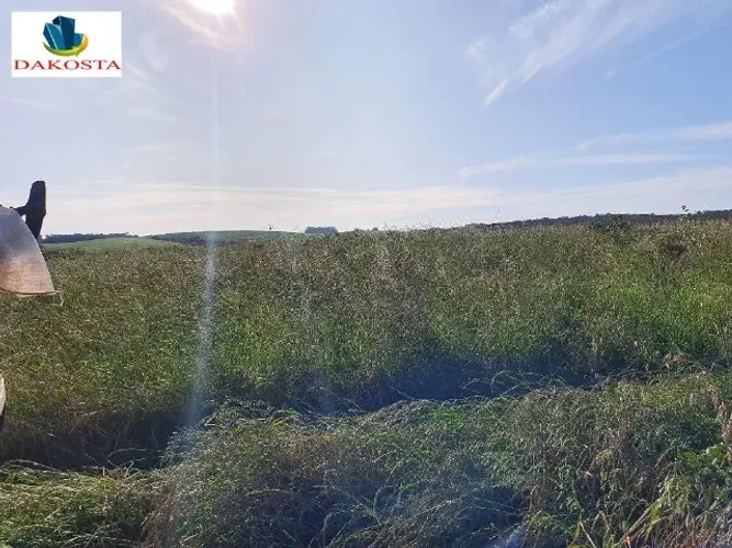 51 Alqueires plantando soja a vários anos em 31 Alqueires