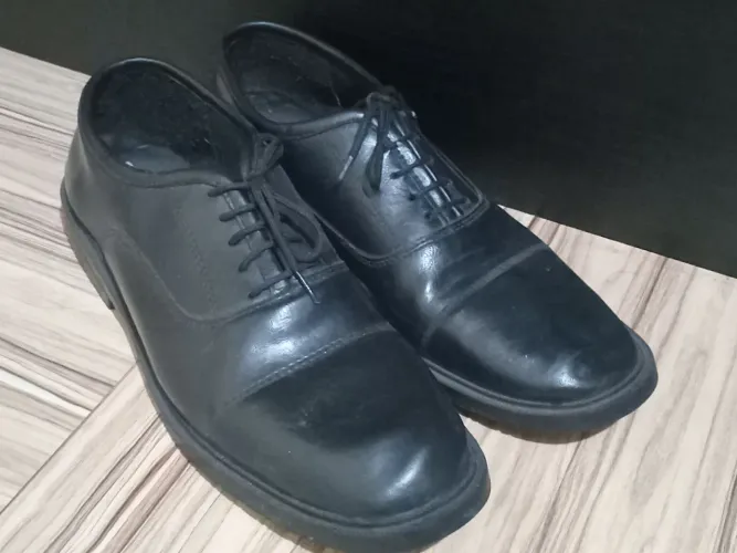 Sapatos sociais pretos 43