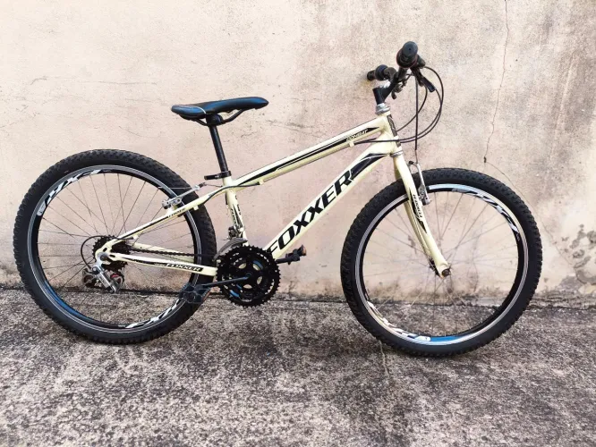 BICICLETA INFANTIL FOXXER - INFANTIL (ARO 24)