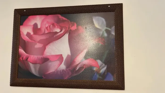 quadro de parede