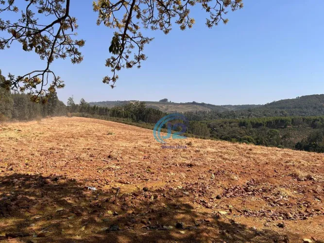 Sítio , 4 alqueires por R$ 2.000.000 - Zona Rural - Espírito Santo do Pinhal/SP