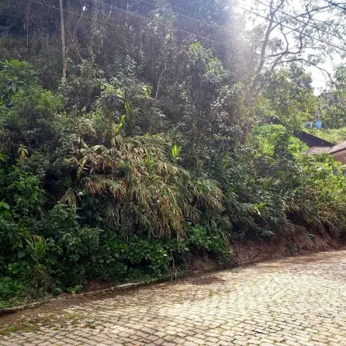 Terreno- Petrópolis, Quitandinha