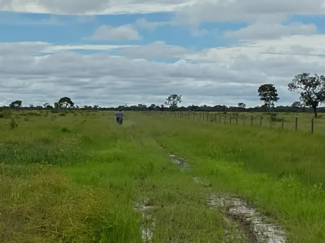 Fazenda 2.538 alqueires aceita 50% de permuta em porto alegre Norte MT.