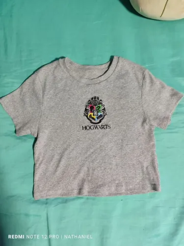 Cropped Harry Potter Hogwarts