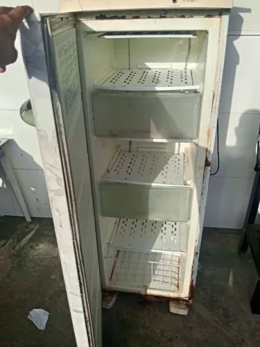 Freezer vertical