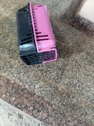 Vendo este transporte de animais.