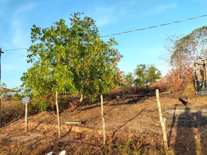 Vende-se terreno no Luiz Barcelar, Gapara