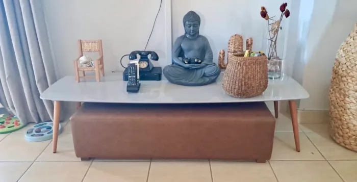 Mesa laqueada e madeira de centro