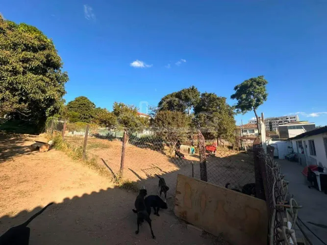 Lote à venda, Santa Amélia - Belo Horizonte/MG