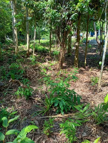 TERRENO A VENDA - EXCELENTE OPORTUNIDADE PARA CHÁCARA!