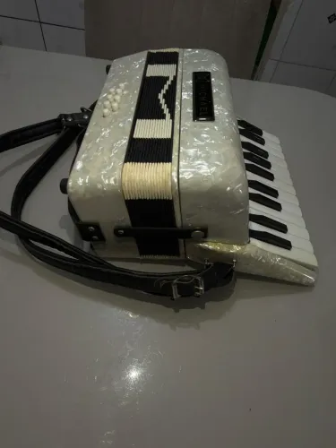 Acordeon Michael 8 Baixos
