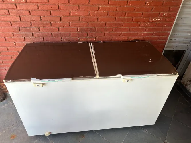 Freezer Electrolux