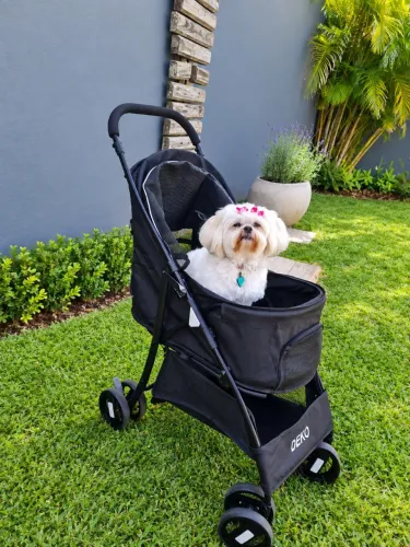 CARRINHO DE PASSEIO PET