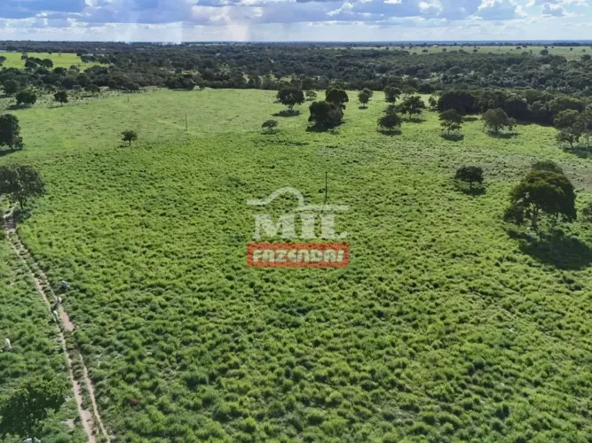 Fazenda 28,5 alqueires (138 hectares) Araguaçu - To