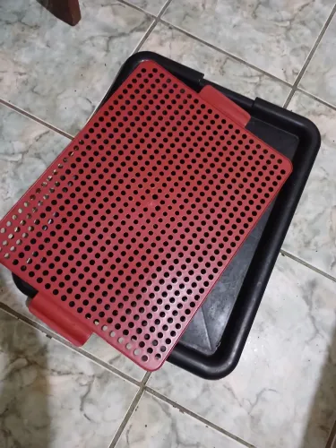 Tapete higiênico canino