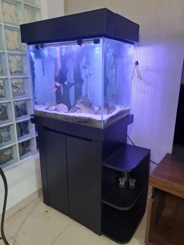 Aquario 170 litros, móvel, filtro e aquecedor
