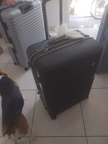 Malas para viagem