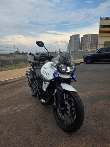 Triumph Tiger 800 XRX Low 2020