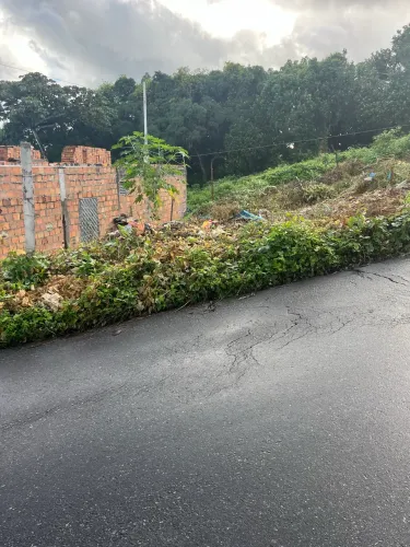 Terreno