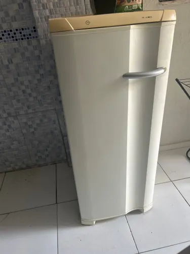 Freezer vertical