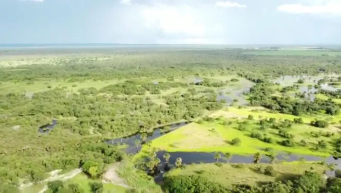 Fazenda para Venda em Arinos