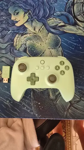 Controle 8 Bit/ Verde / 2.4 Usb