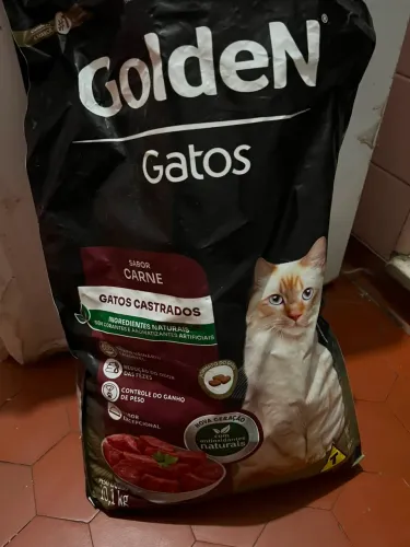 Doação ração golden gatos castrados 