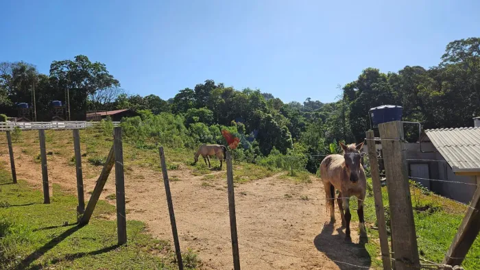Terreno de 4.361m com córrego e vista incrível Refúgio na natureza