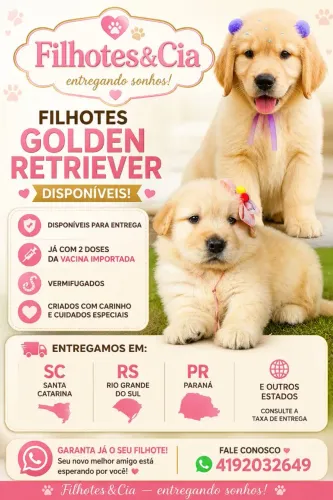 Golden Retriever