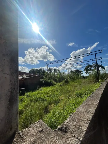Terreno murado