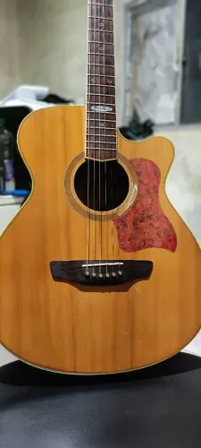 Violão Steinberg sa20c