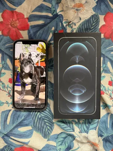 iPhone 12 Pro 128gb oportunidade
