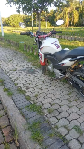 Honda CB 300r Flex