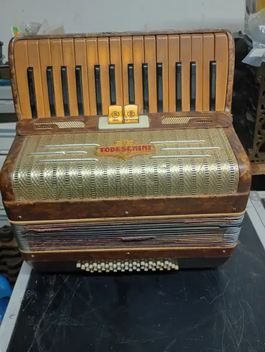 Acordeon Todeschini 48 baixos