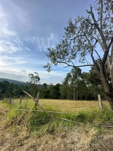 Invista em Mairinque: Terrenos para Chácaras em Região de Crescimento