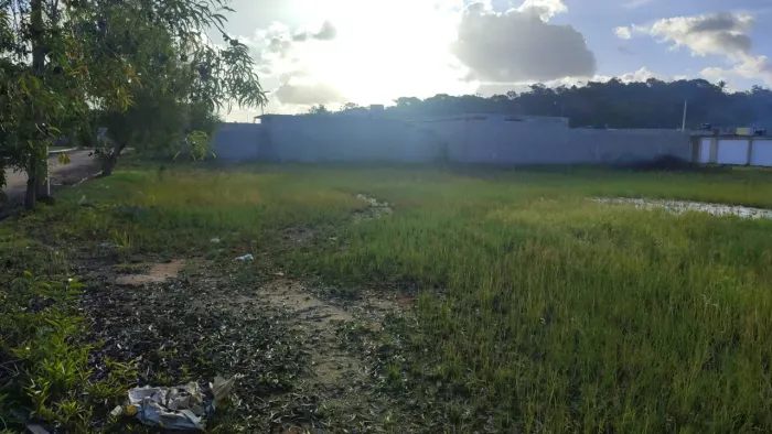 Loteamento, São José da coroa grande