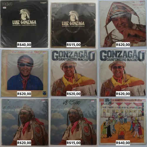 Discos de Vinil Forró Baião Música Regional e outros