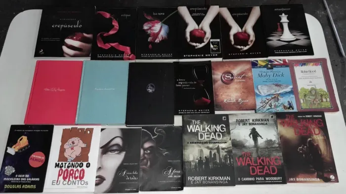 LOTE DE LIVROS - DIVERSOS TÍTULOS | ÓTIMO ESTADO DE CONSERVAÇÃO