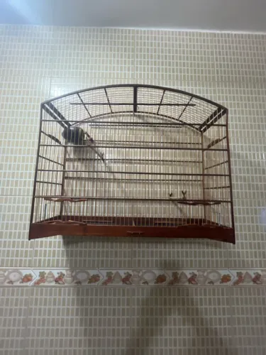 Gaiola sibiteira seminova zera 