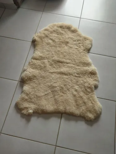 Pelego ovelha- * 